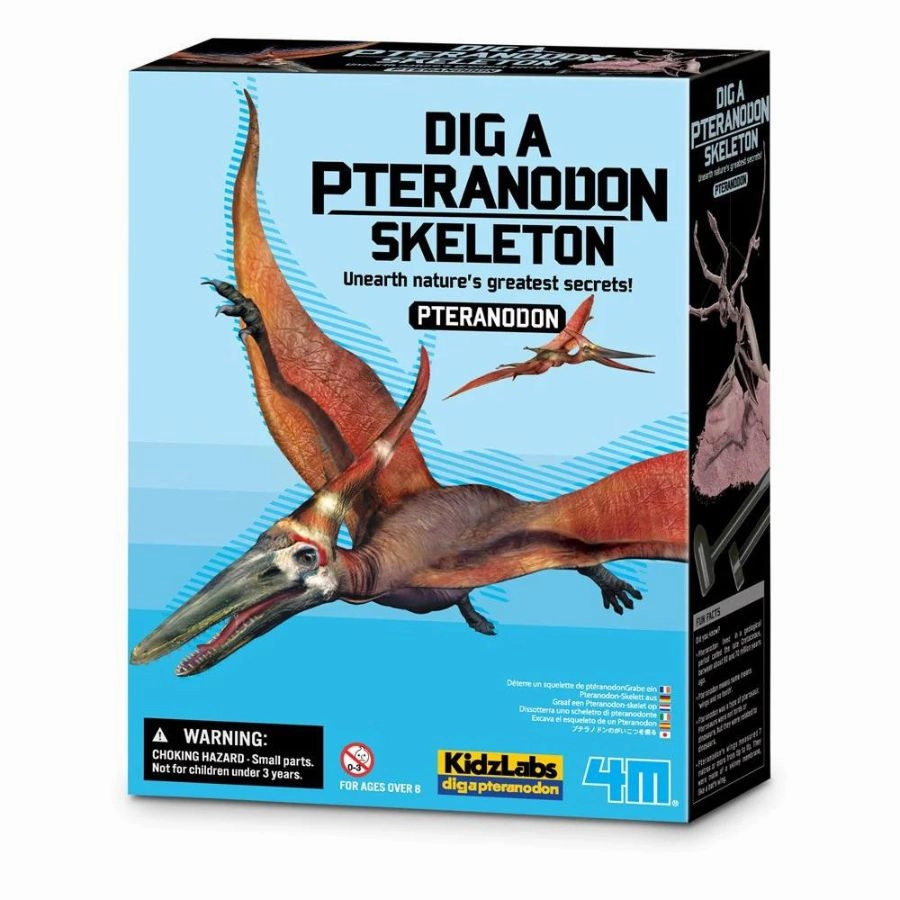 4M - KidzLabs: Dig A Pteranodon Skeleton Dinosaur
