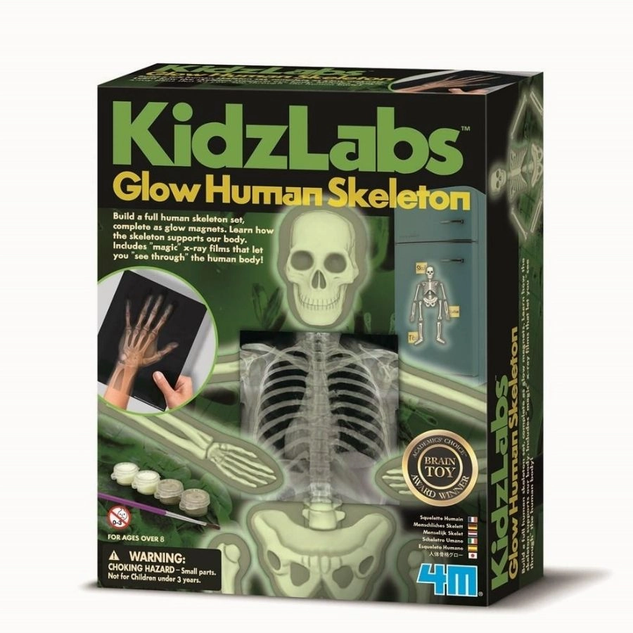4M - KidzLabs Human Skeleton Science Kit