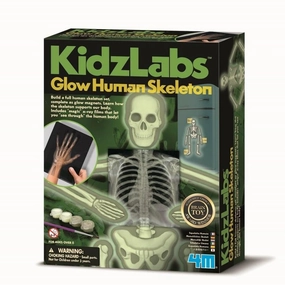 4M - KidzLabs Human Skeleton Science Kit
