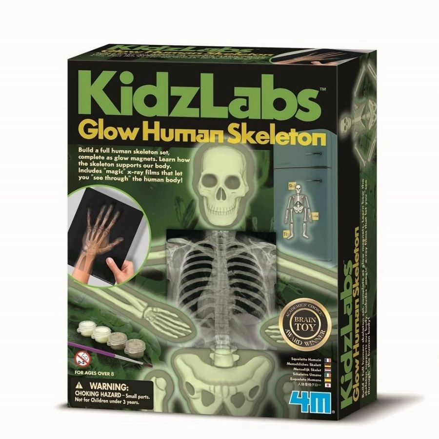 4M - KidzLabs Human Skeleton Science Kit