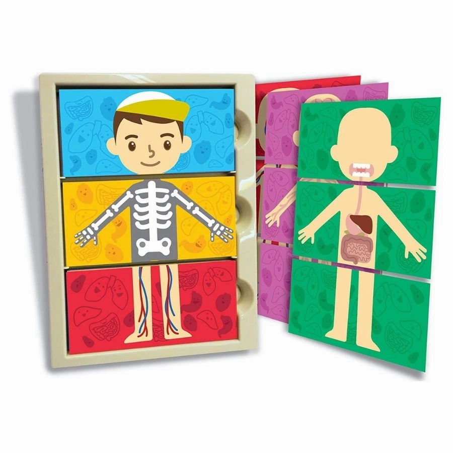 4M - Thinking Kits: My Body Systems