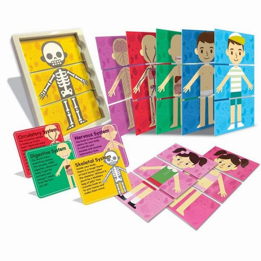4M - Thinking Kits: My Body Systems