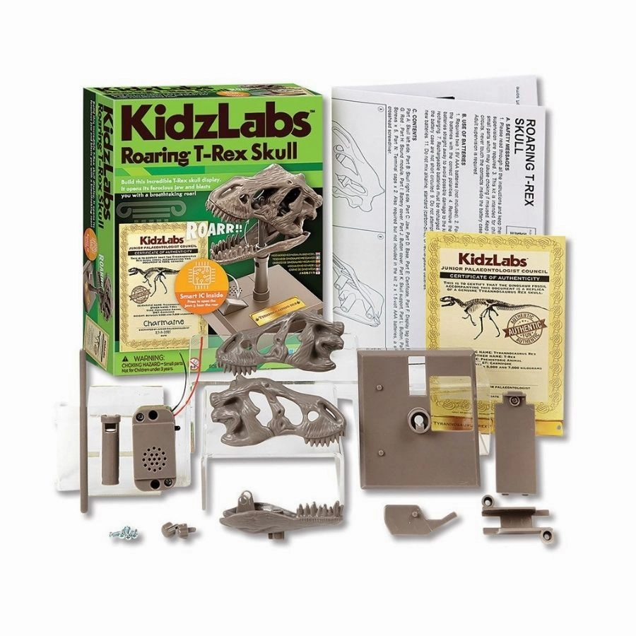 4M Toys - KidzLabs Roaring T-Rex Skull