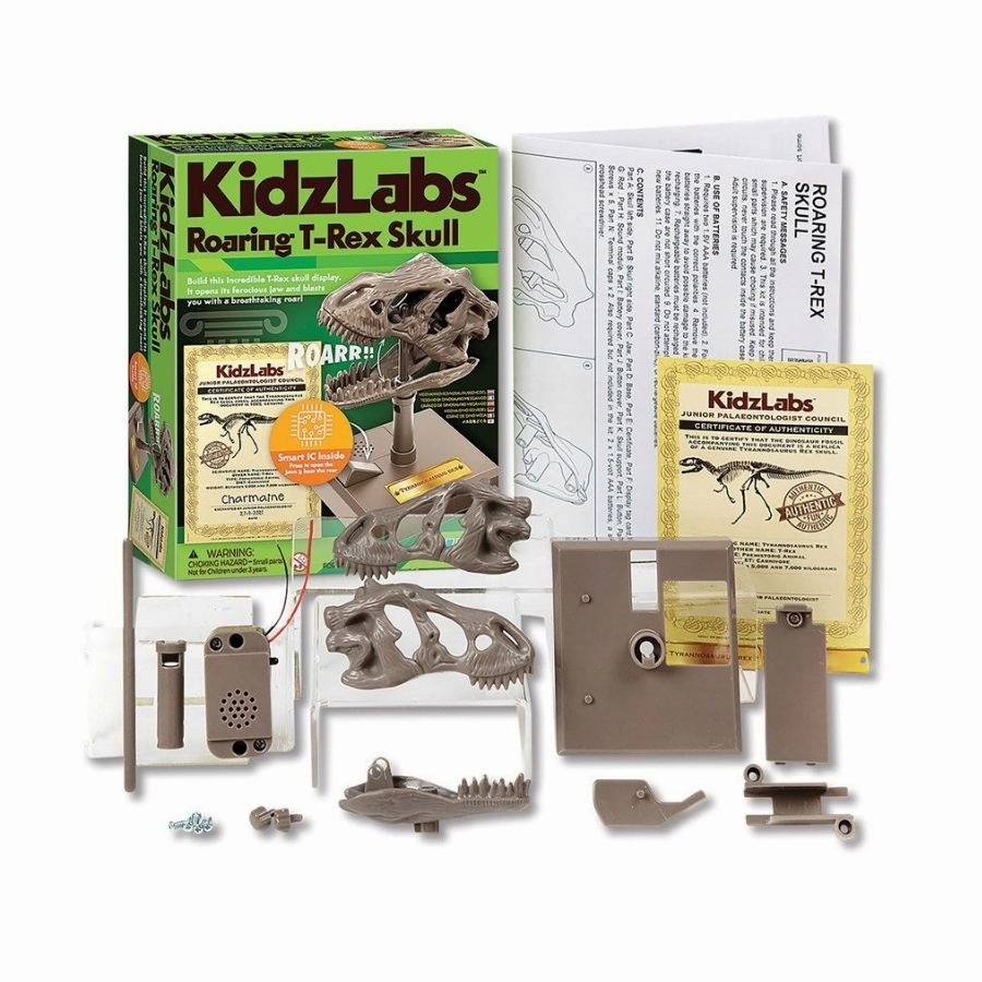 4M Toys - KidzLabs Roaring T-Rex Skull