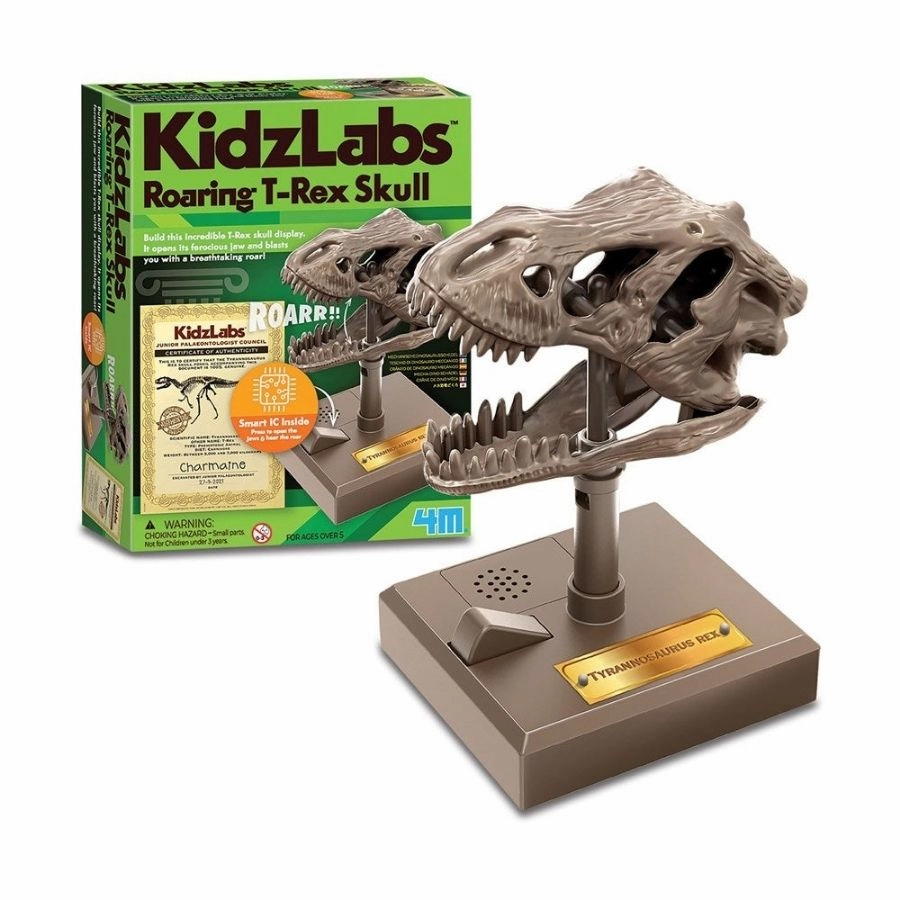 4M Toys - KidzLabs Roaring T-Rex Skull