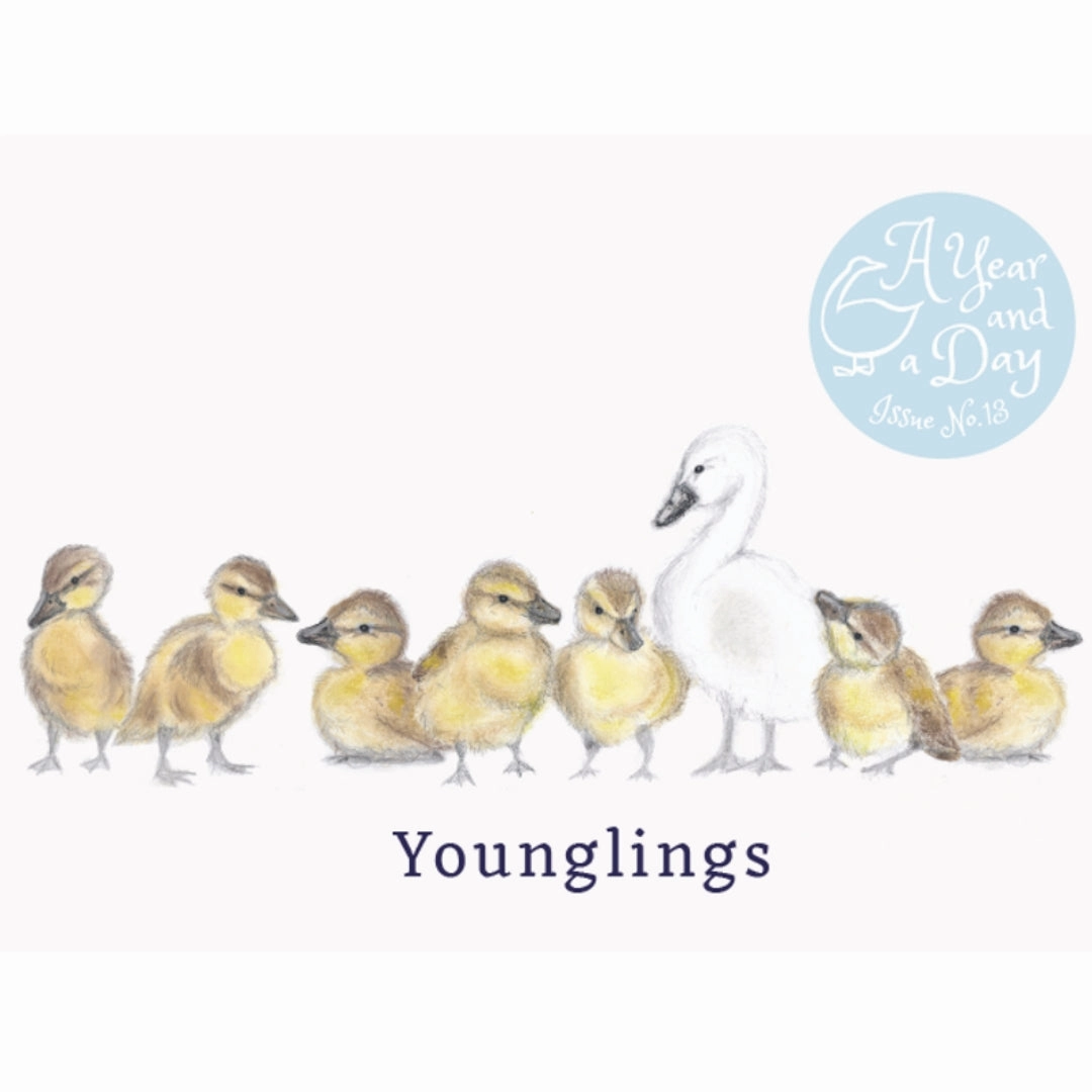 A Year and a Day Magazine - Issue 13: Spring 2023