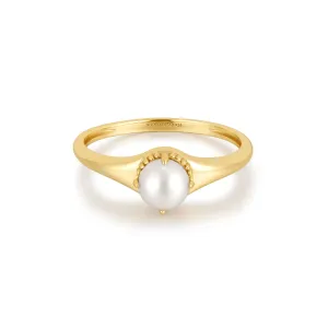 Ania Haie Gold Freshwater Pearl Stacking Ring R058-06G Ania Haie Jewellery