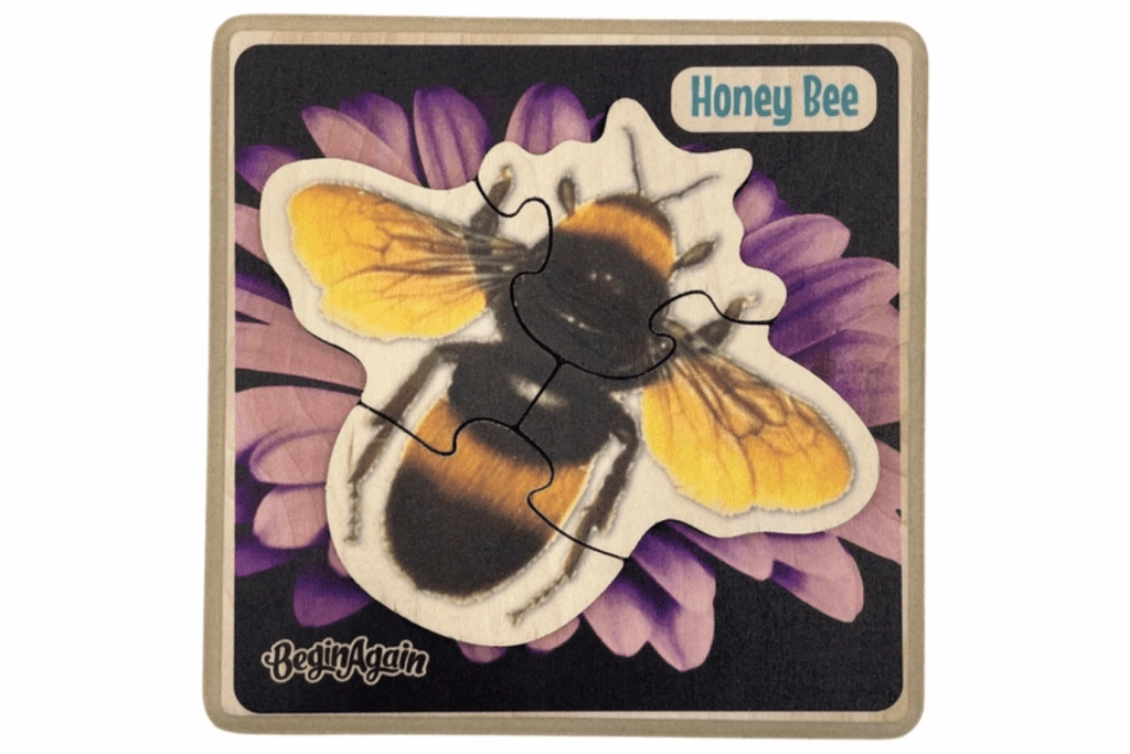 Beginner Insect Puzzles