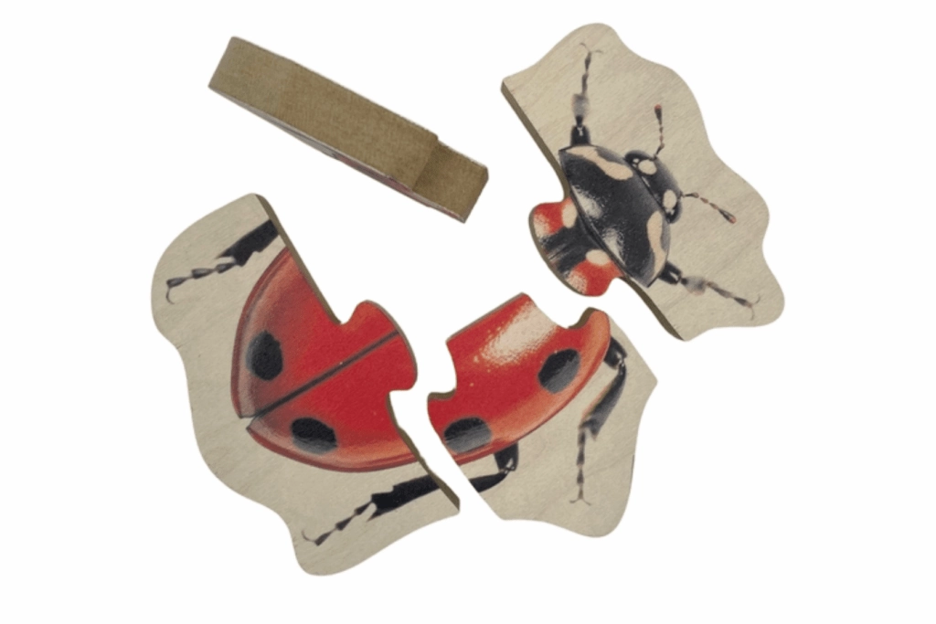 Beginner Insect Puzzles