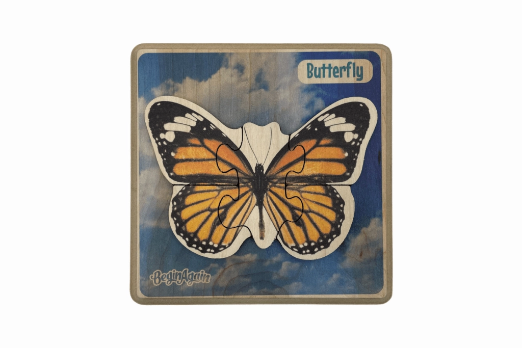 Beginner Insect Puzzles