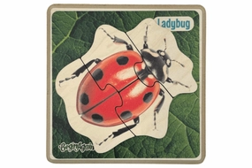 Beginner Insect Puzzles