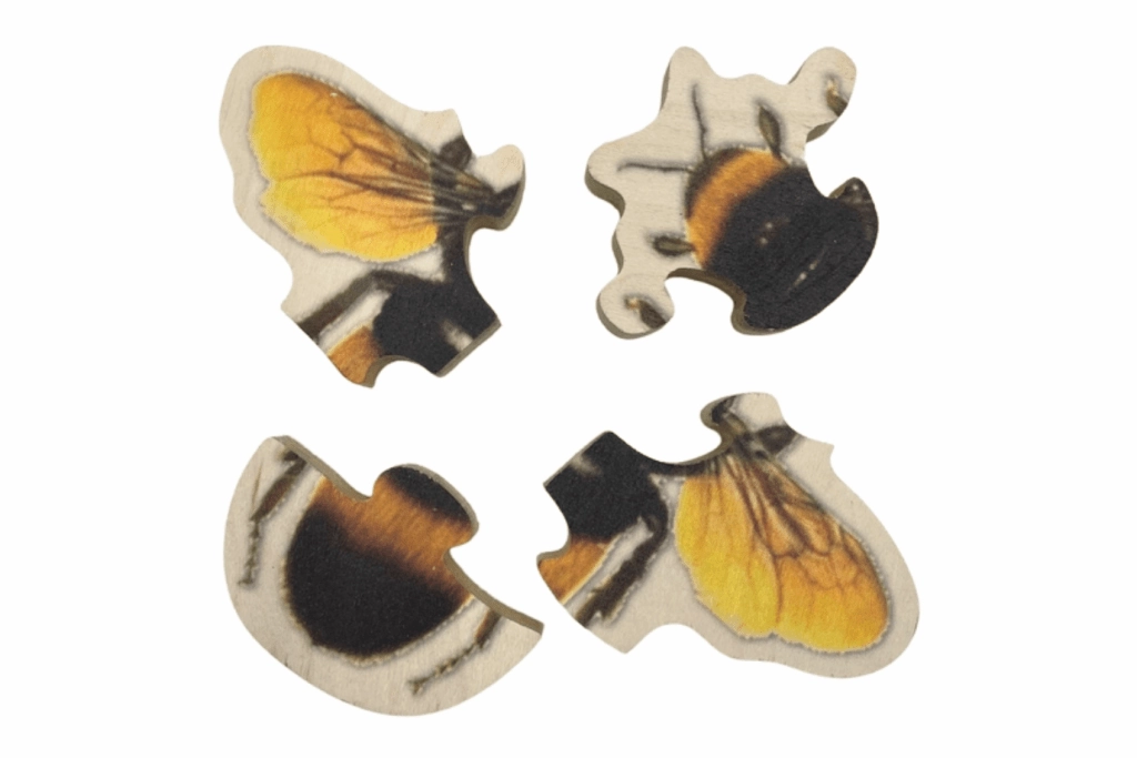 Beginner Insect Puzzles