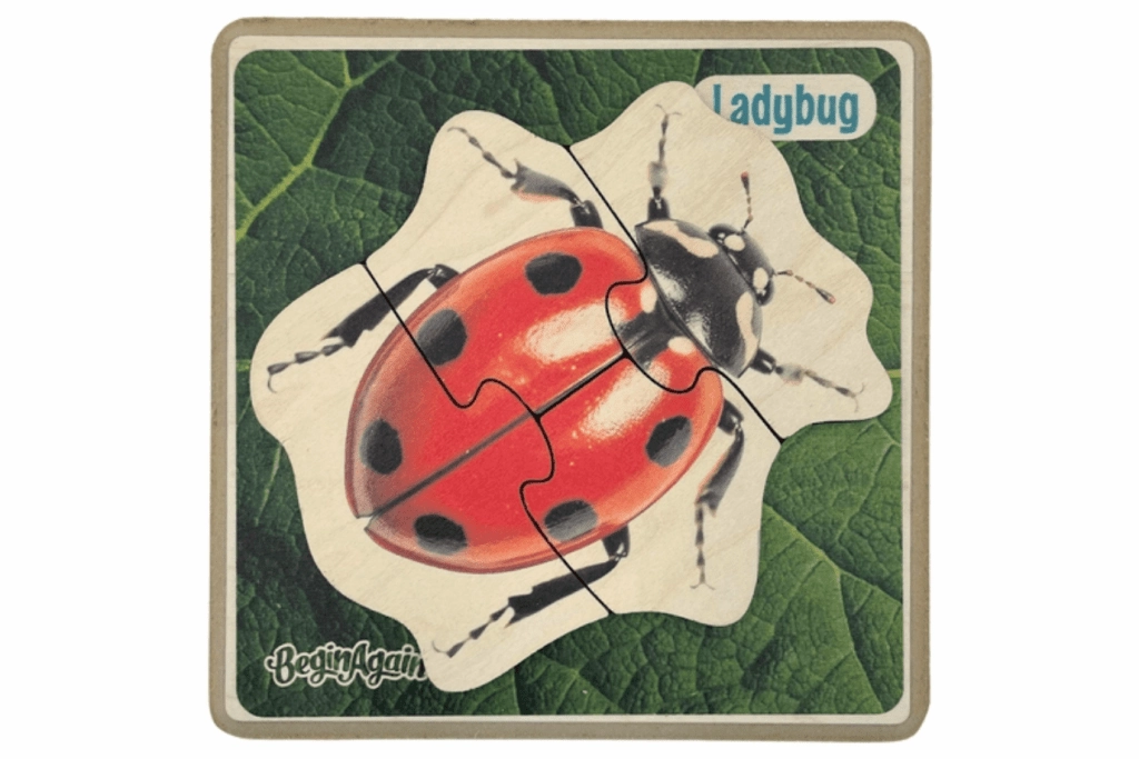 Beginner Insect Puzzles