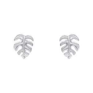 Beginnings Sterling Silver Earrings E6499 Beginnings Jewellery
