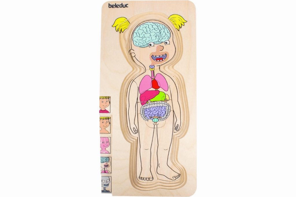 Beleduc Girl Layer Puzzle