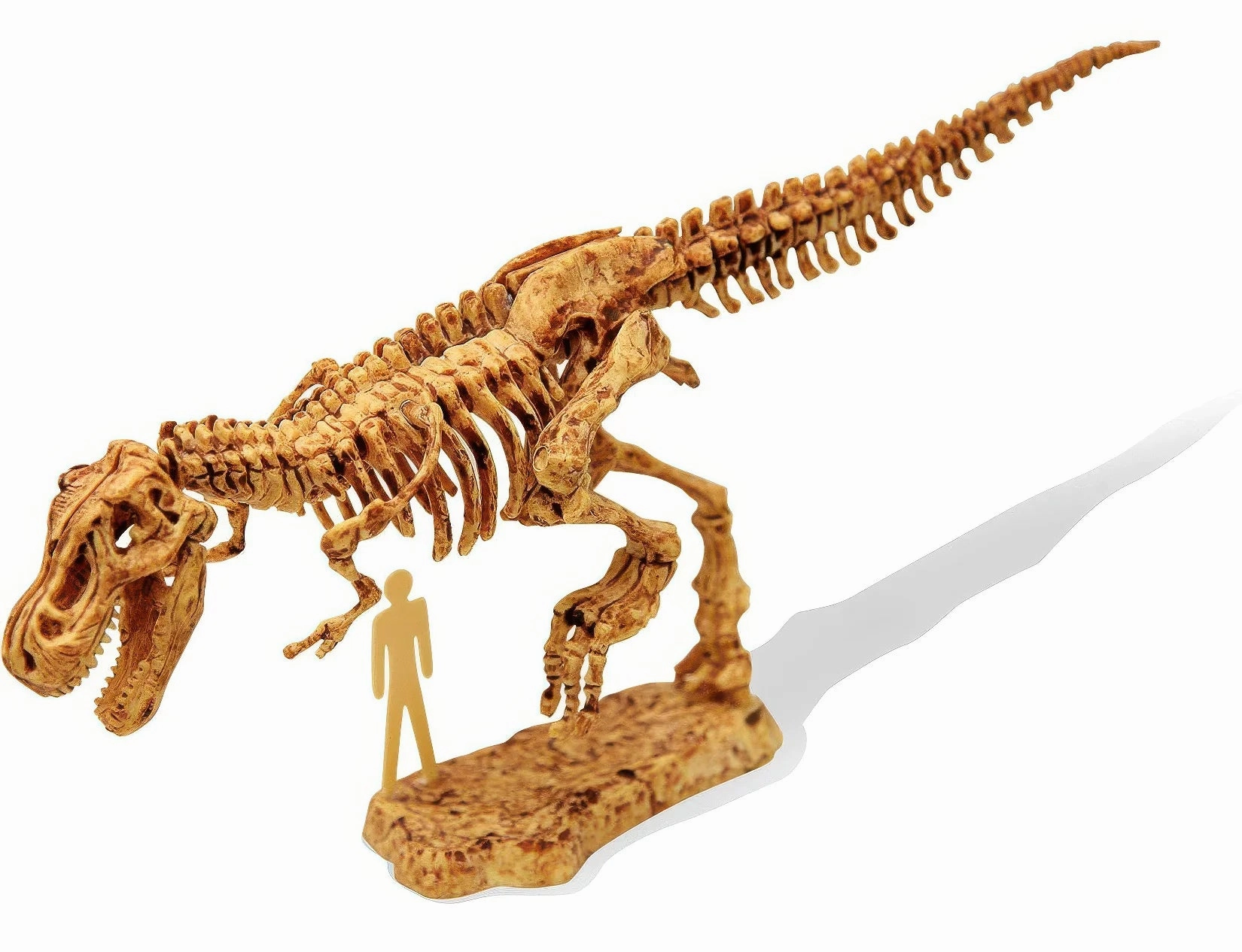 BUKI France Dino Kit Tyrannosaurus Dinosaur Fossil Set