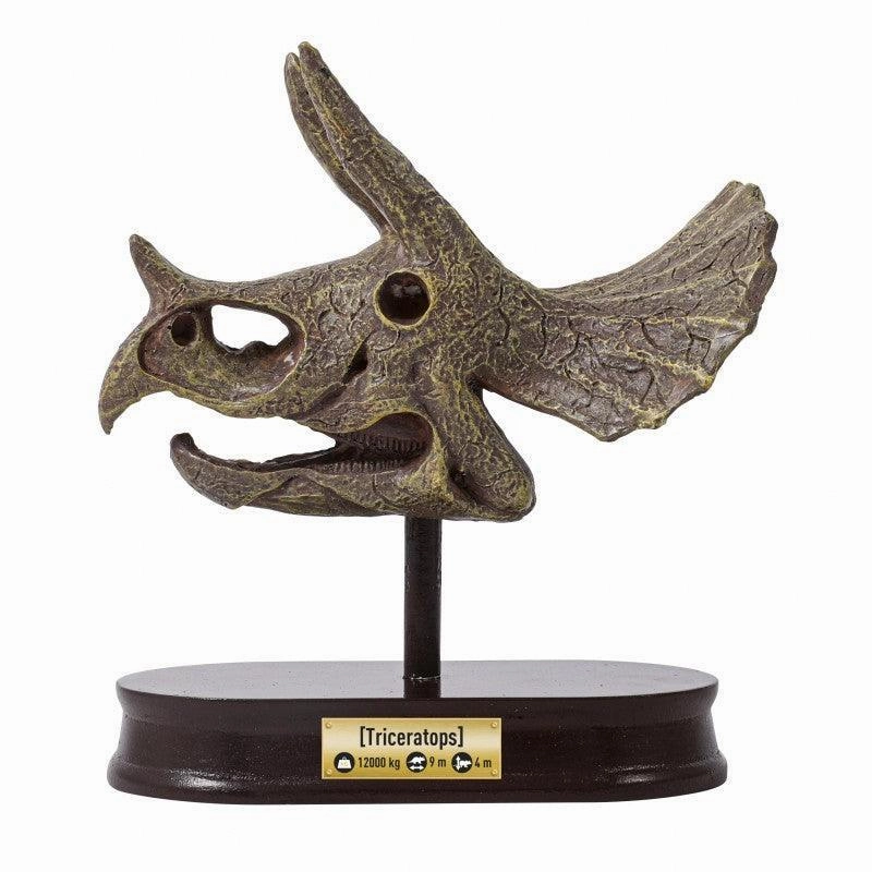 BUKI France Dino Museum Skull - Triceratops