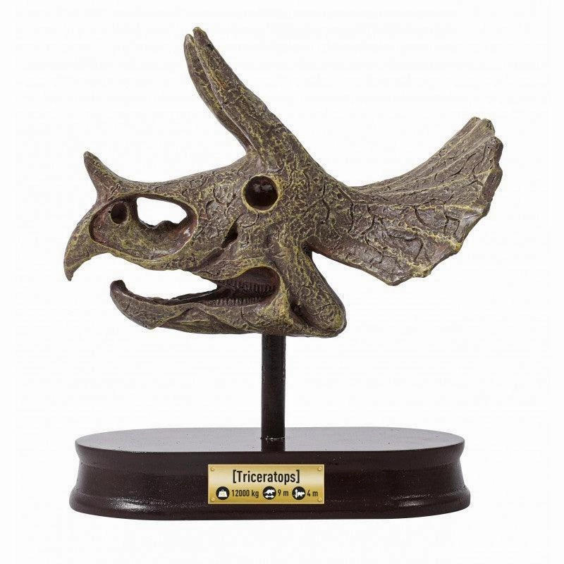 BUKI France Dino Museum Skull - Triceratops
