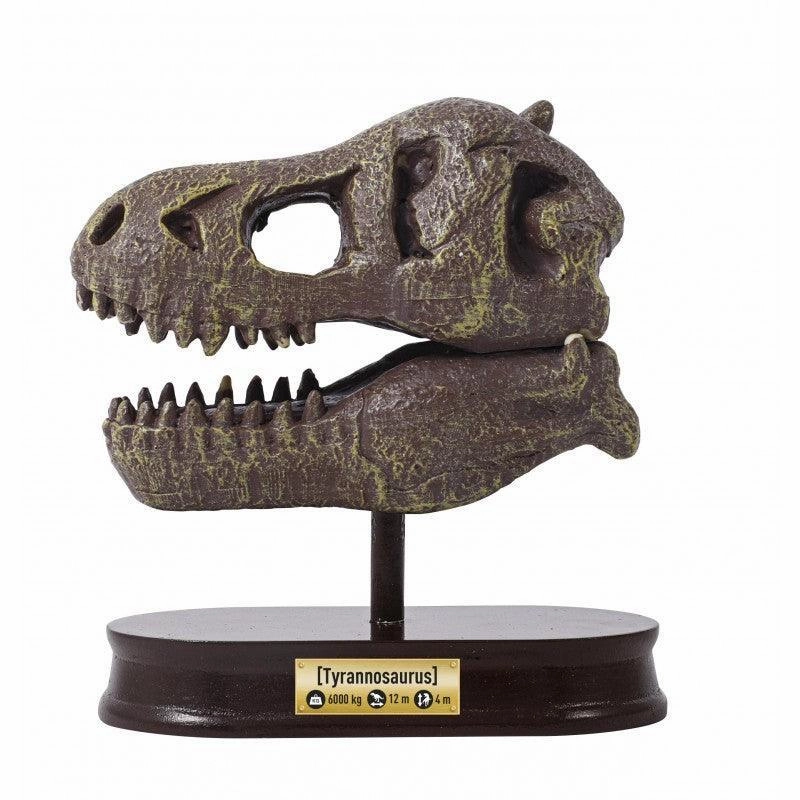 BUKI France Dinosaur Skull - Tyrannosaurus Rex