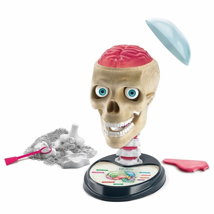 Clementoni - Science and Play: Crazy Anatomy Laboratory Science Kit