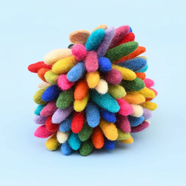 Colorful Rainbow Hedgehog