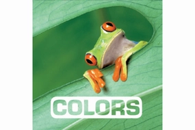 Colors by Marie Vendittelli