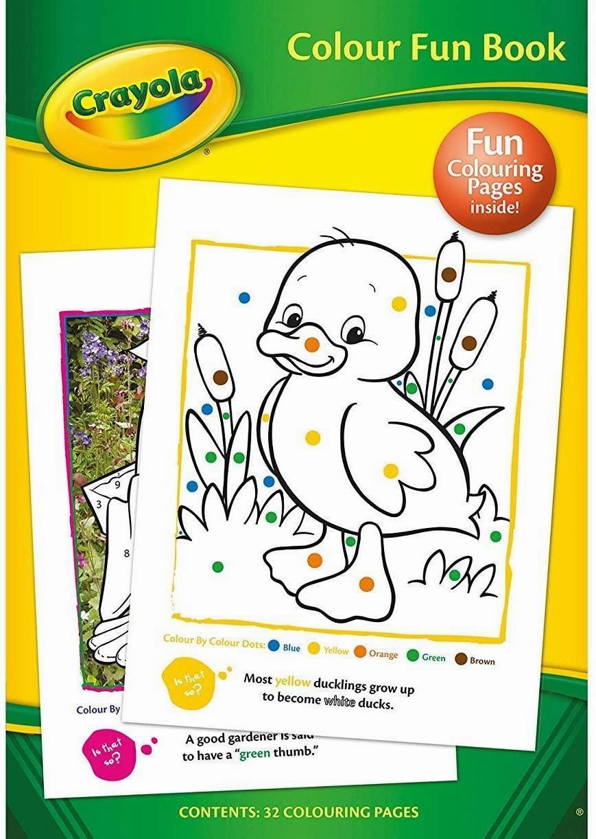 CRAYOLA Colour Fun Activity Book