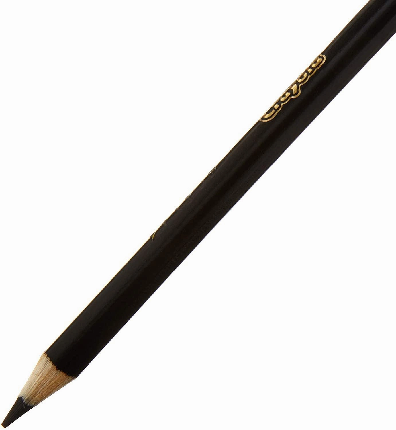 Crayola Coloured Pencils Mini - Pack of 12