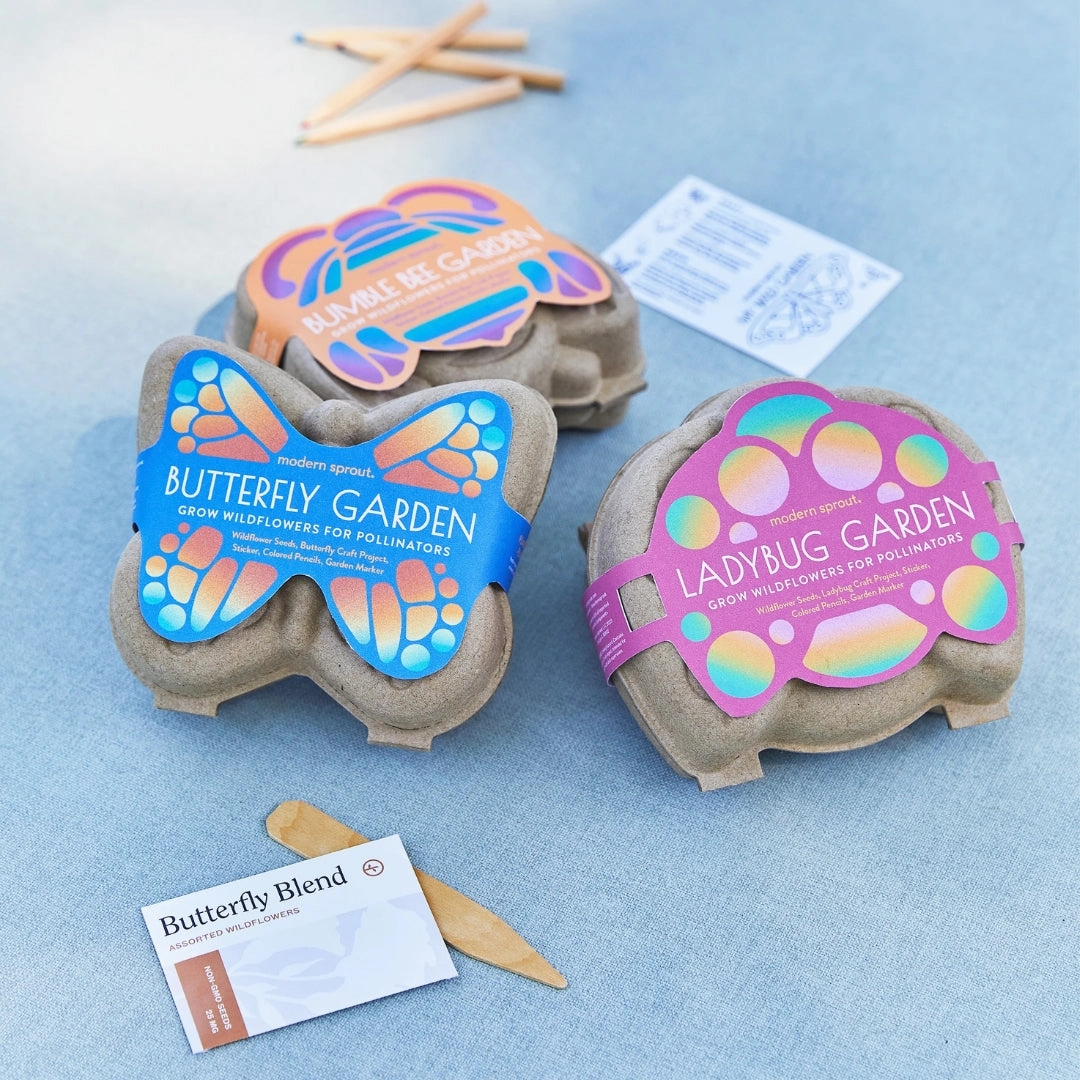 Curious Critter Ladybug Garden Kit