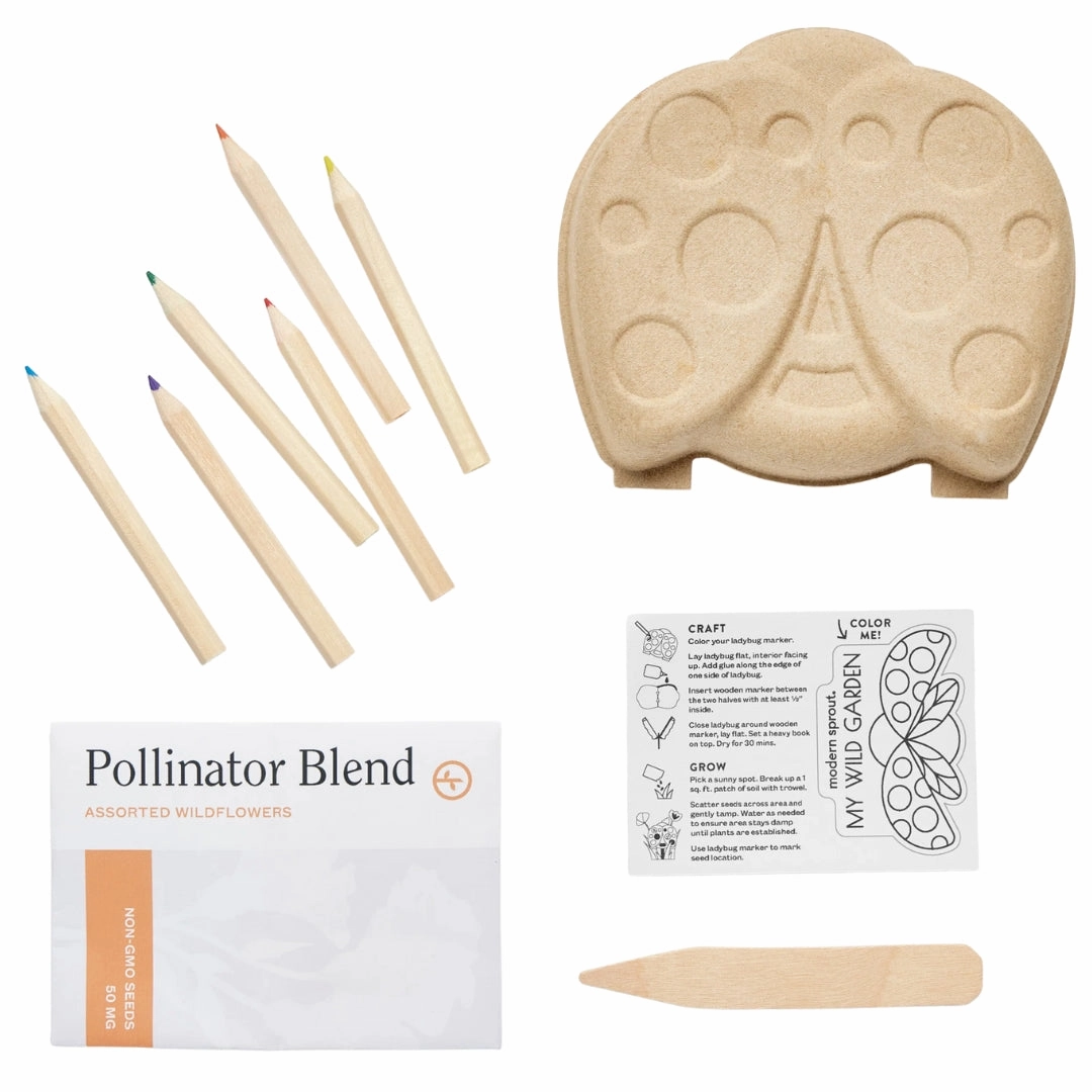 Curious Critter Ladybug Garden Kit
