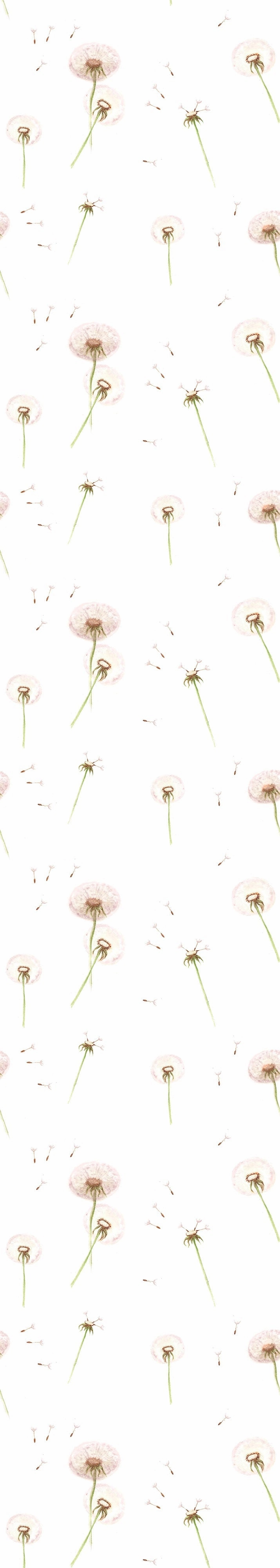 Dandelions Wallpaper