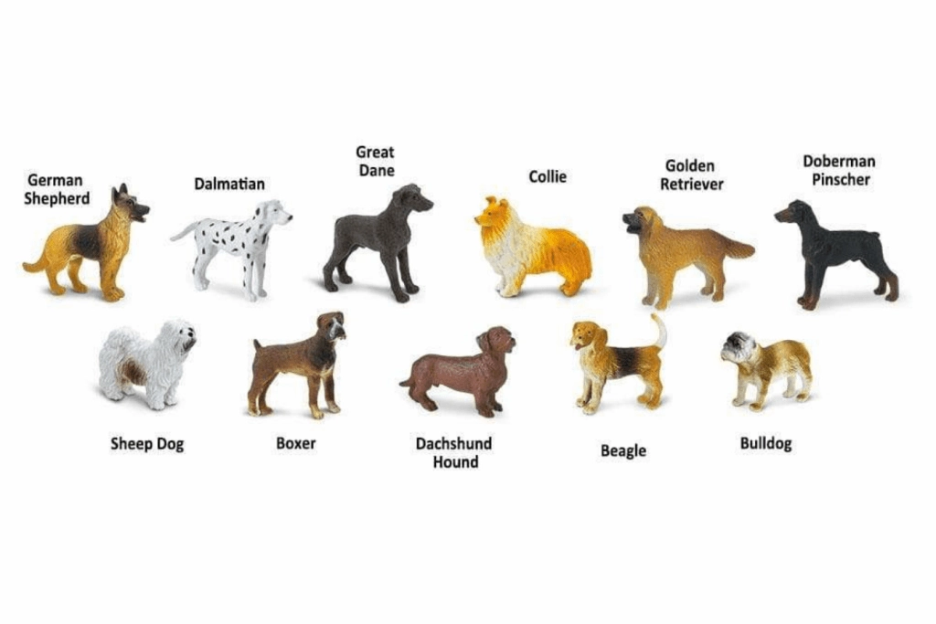 Dogs TOOB
