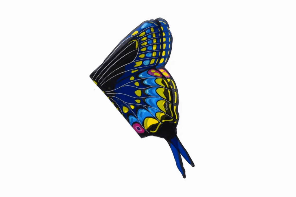 Dress Up Butterfly Wings