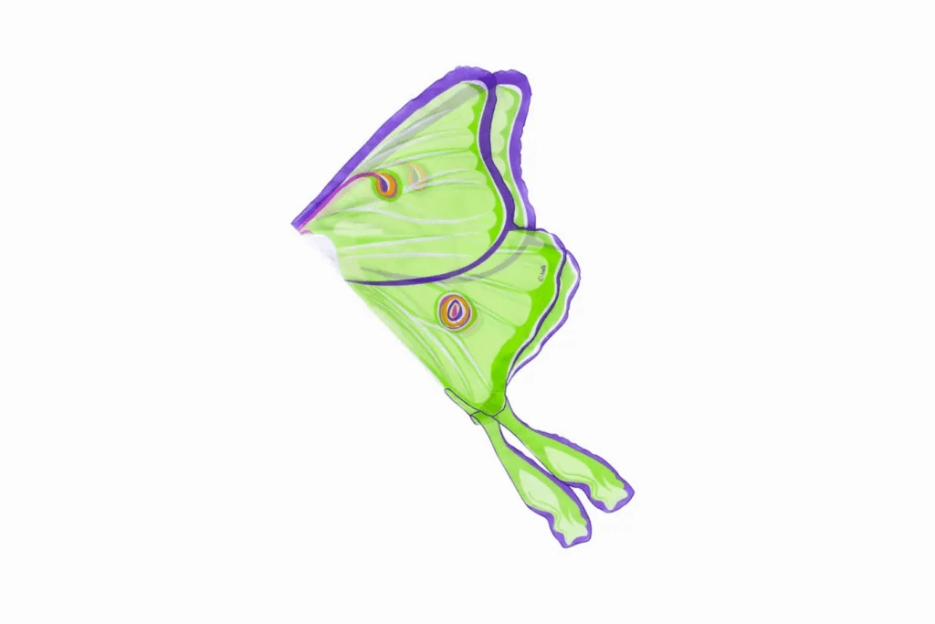 Dress Up Butterfly Wings