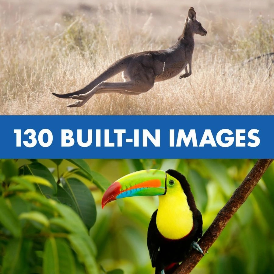 Educational Insights - Geosafari Jr Talking Wildlife Camera featuring Robert Irwin