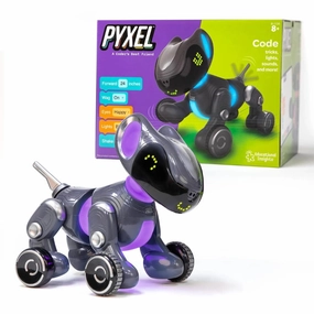 Educational Insights - Pyxel A Coder's Best Friend