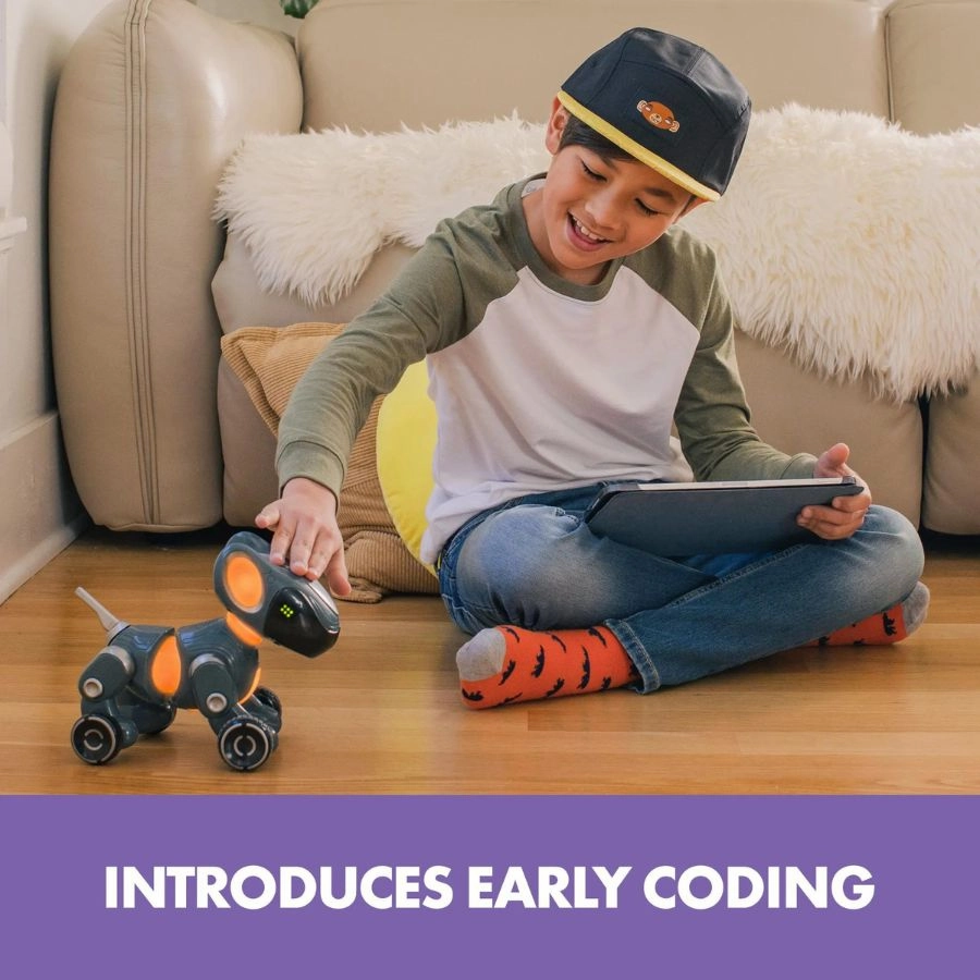 Educational Insights - Pyxel A Coder's Best Friend