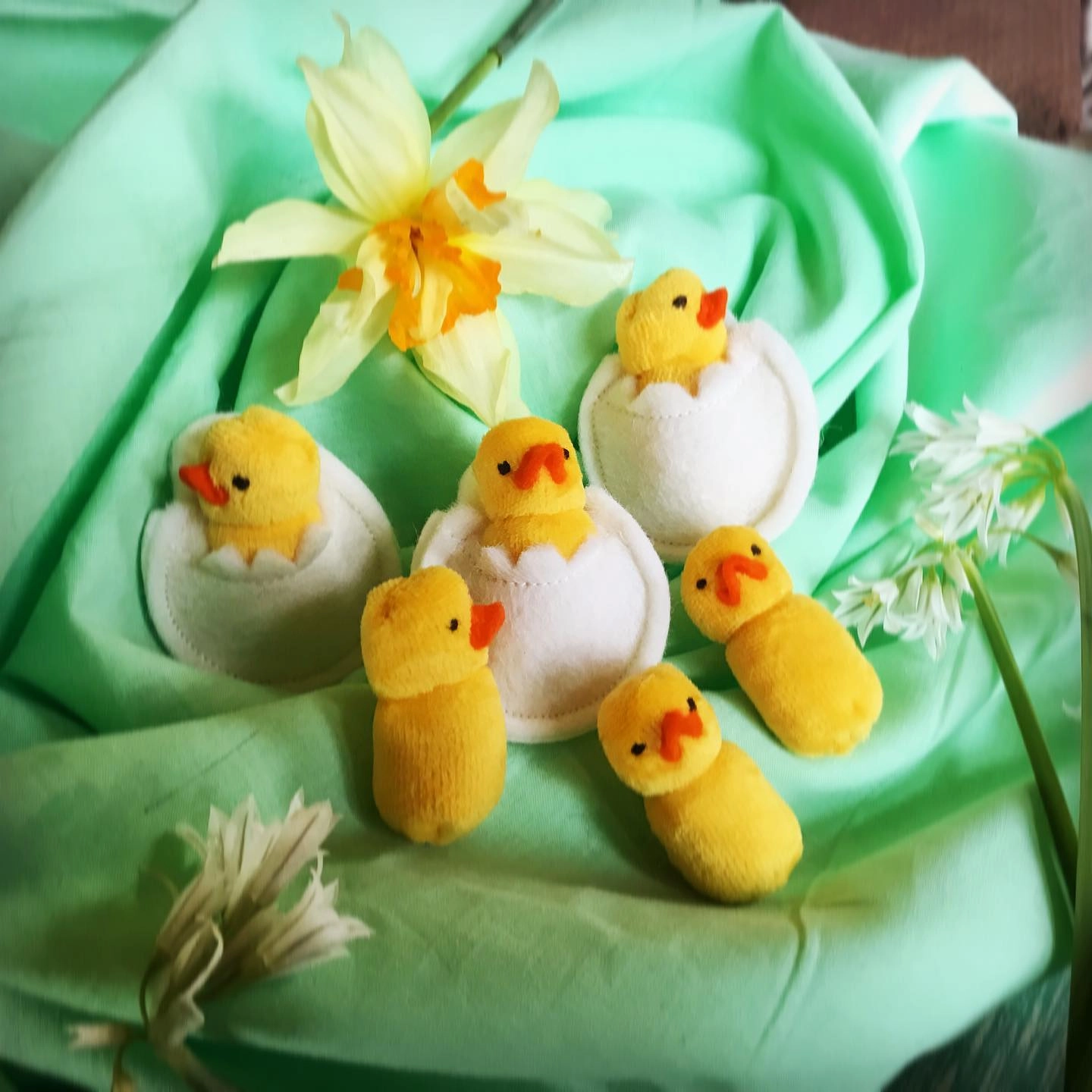 Fairyshadow Duckling in an Egg