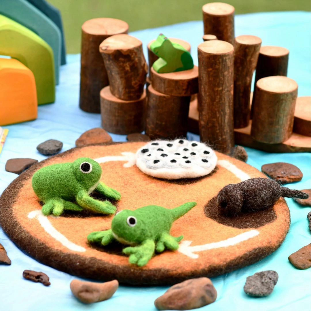 Felted Frog Life Stages Set with Life Cycle Playmat