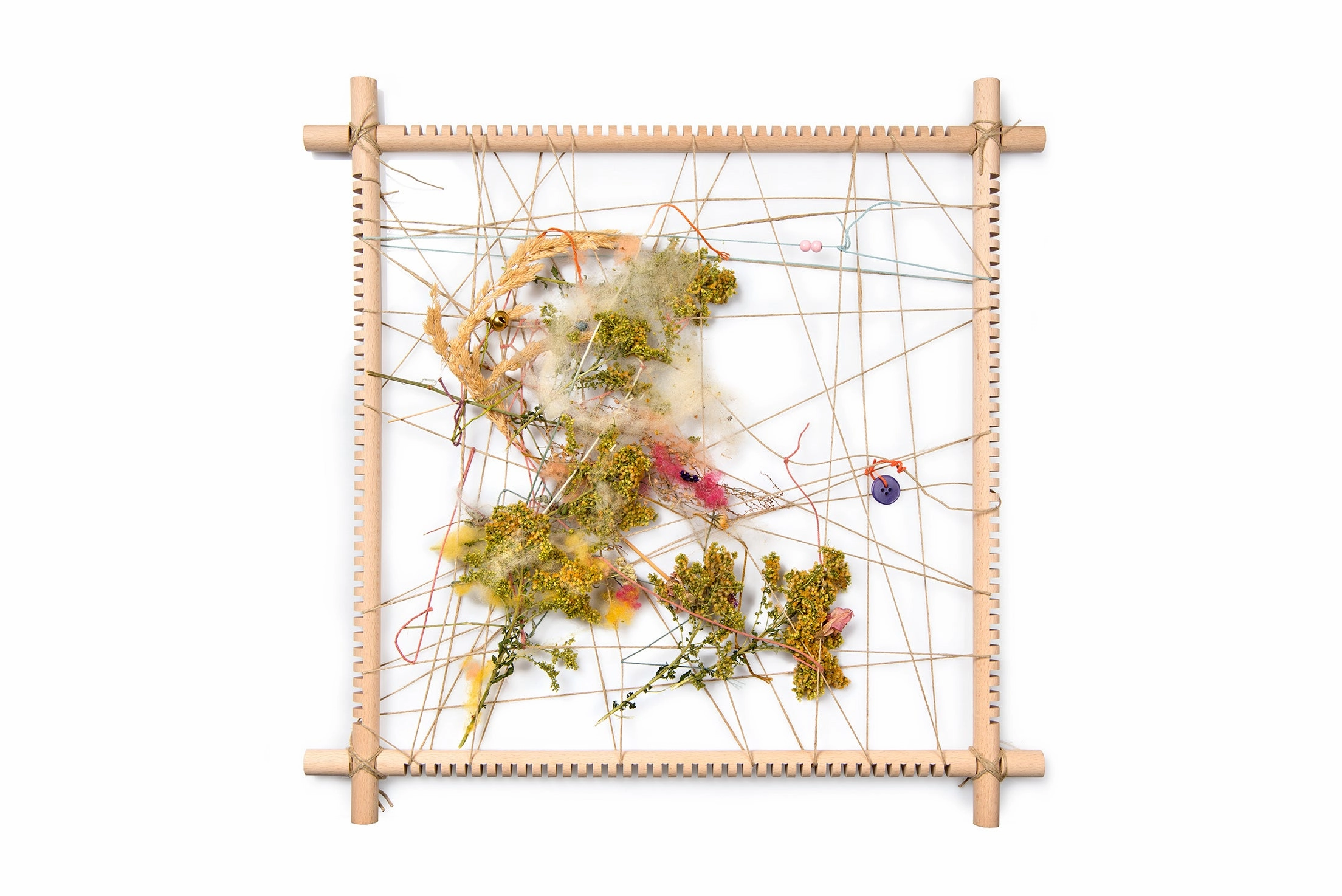 Grapat Nature and Memory Frame