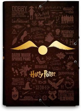 Harry Potter A4 Elasticated Folder - Glasses