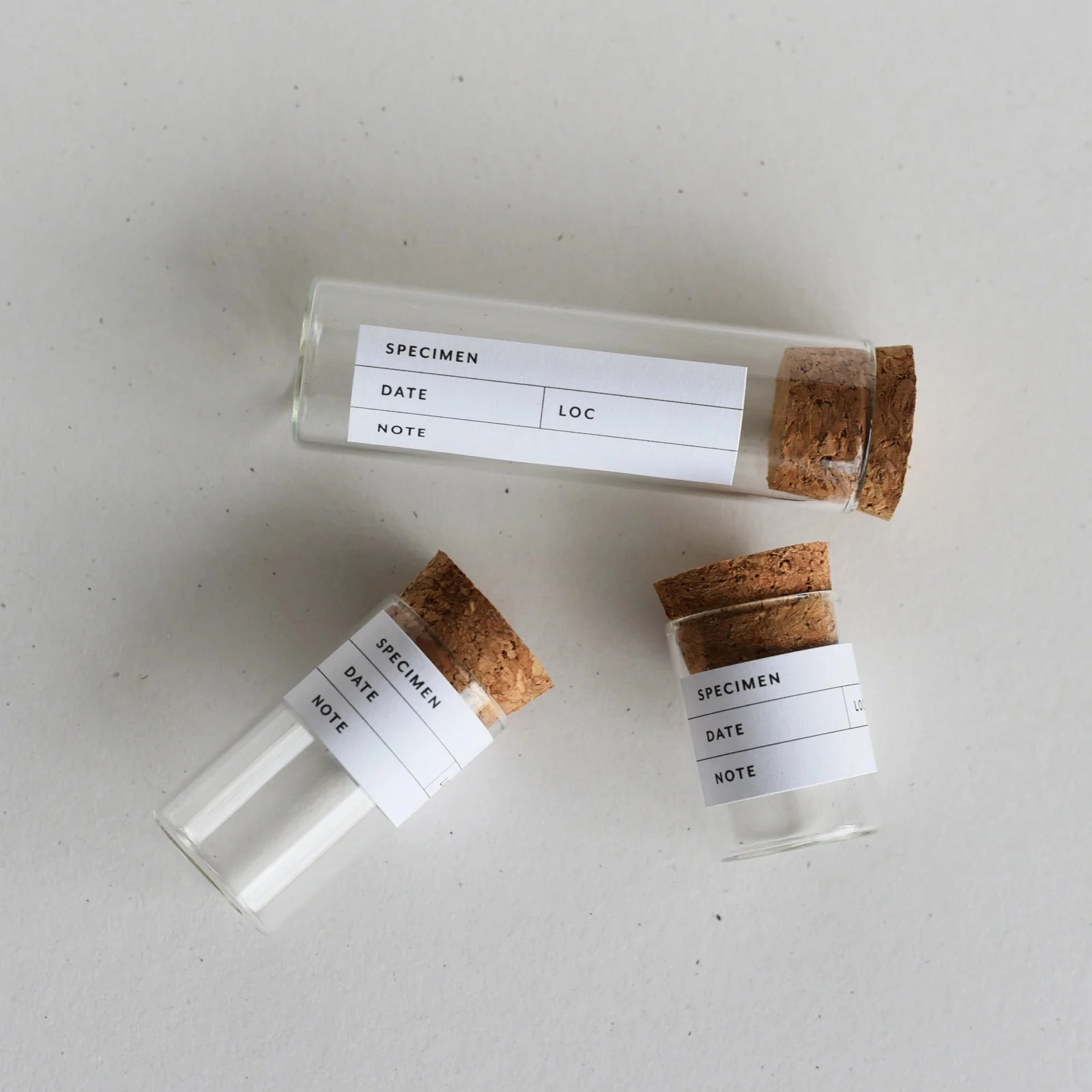 June & December Beach Collecting Kit