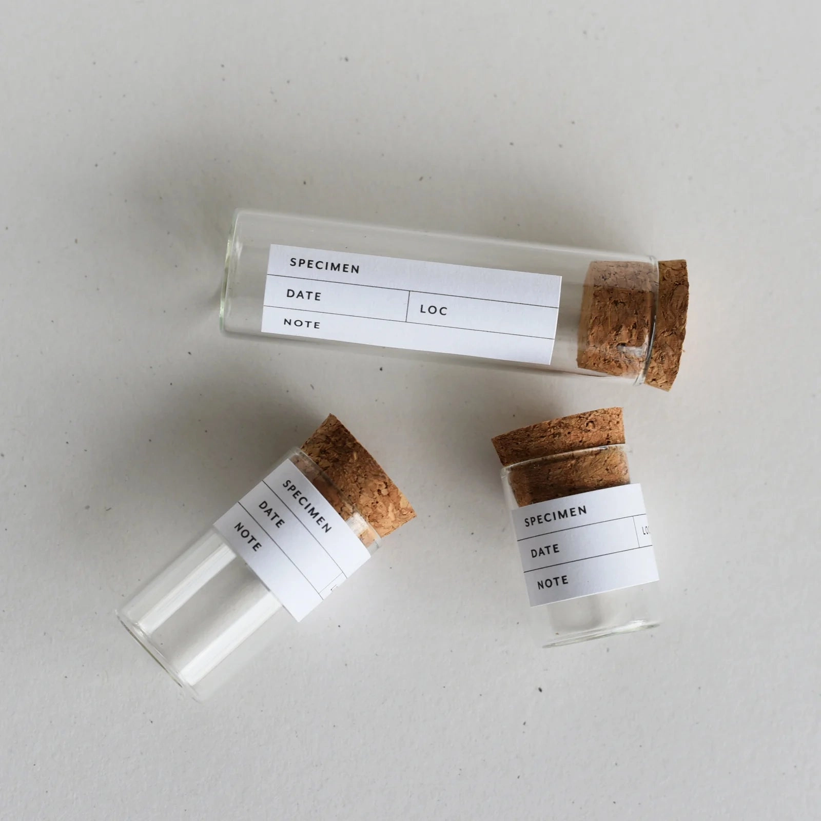 June & December Beach Collecting Kit