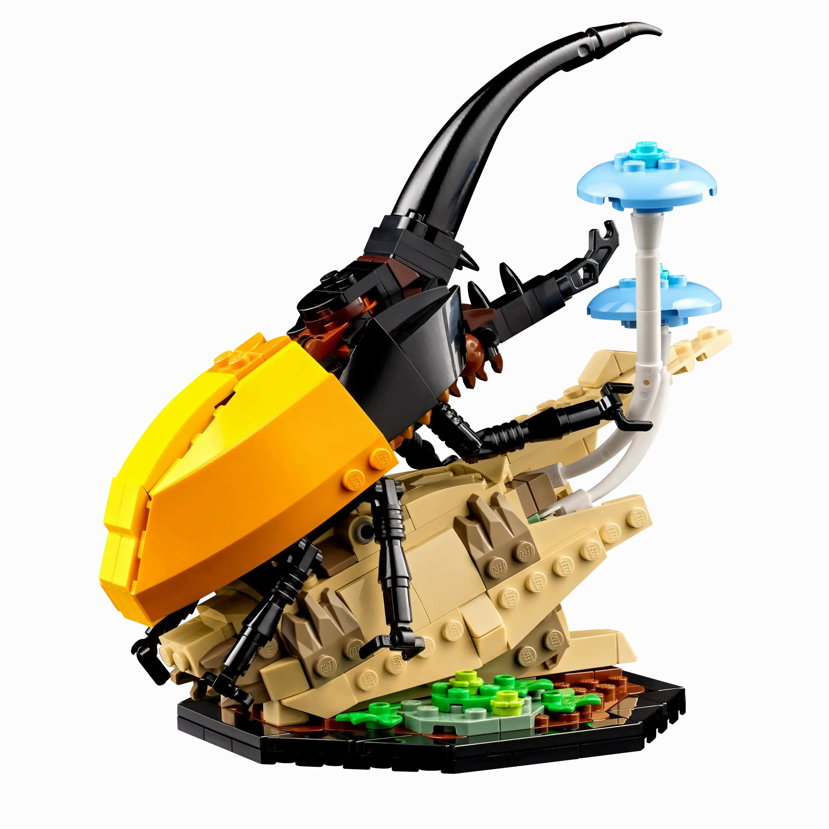 LEGO IDEAS 21342 The Insect Collection