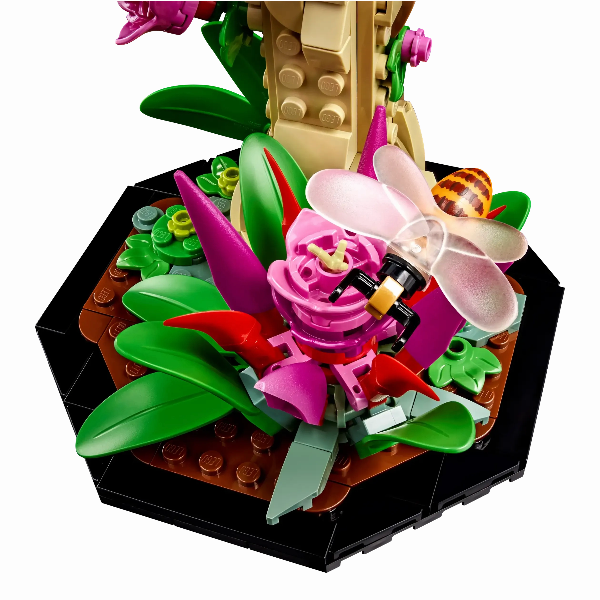 LEGO IDEAS 21342 The Insect Collection