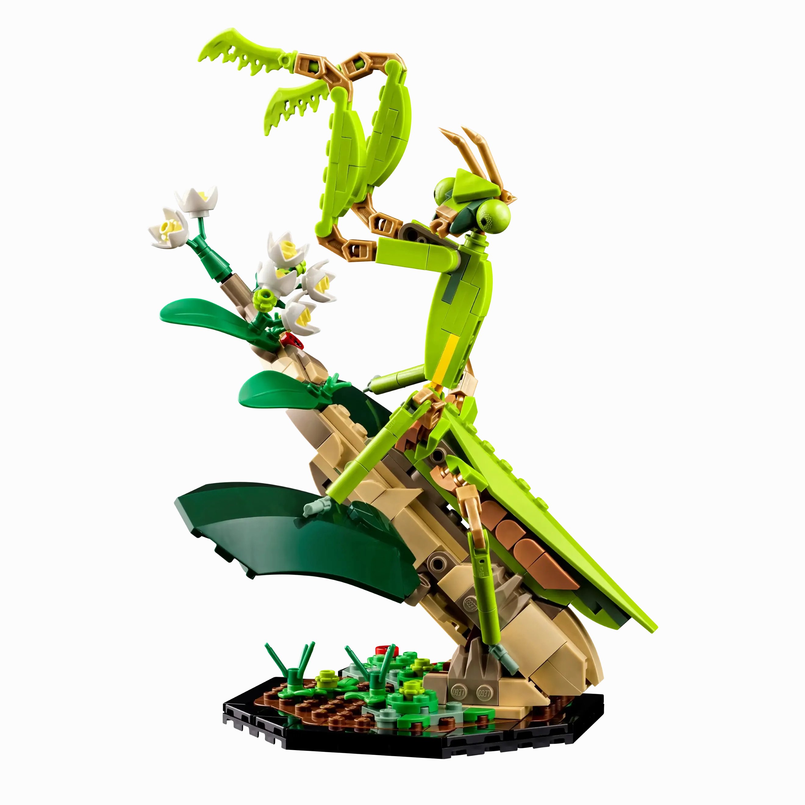 LEGO IDEAS 21342 The Insect Collection