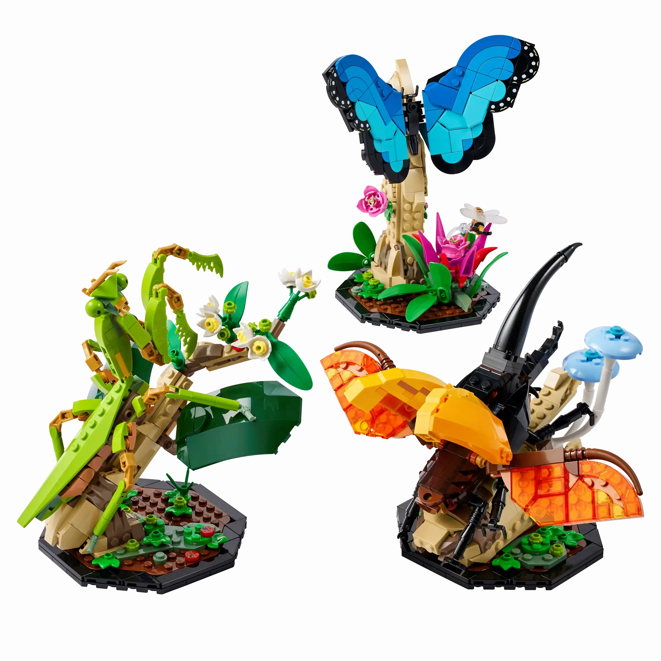 LEGO IDEAS 21342 The Insect Collection