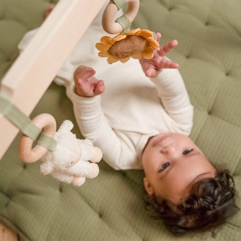 Little Dutch Baby Play Gym - Little Farm