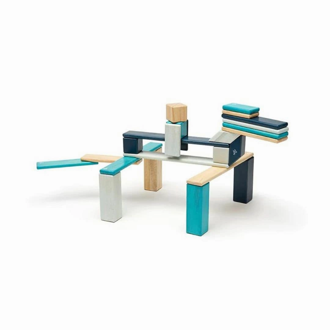 Magnetic Wooden Blocks - 24 Piece Set Blues