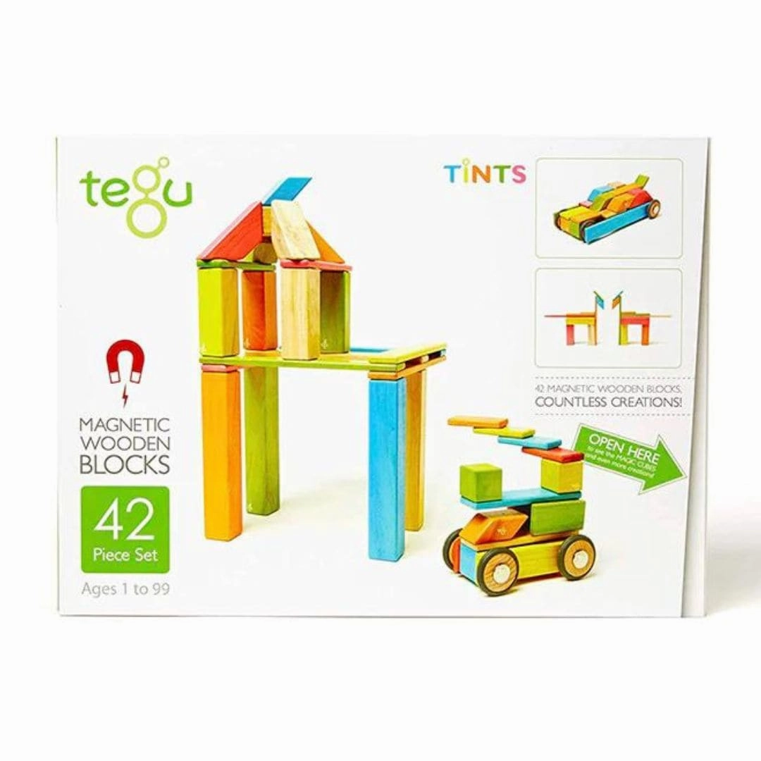 Magnetic Wooden Blocks - 42 Piece Set Tints